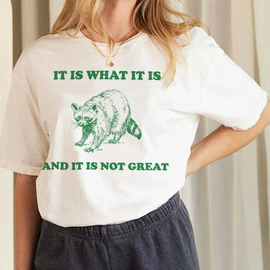 It Is What It Is Raccoon Meme Tee